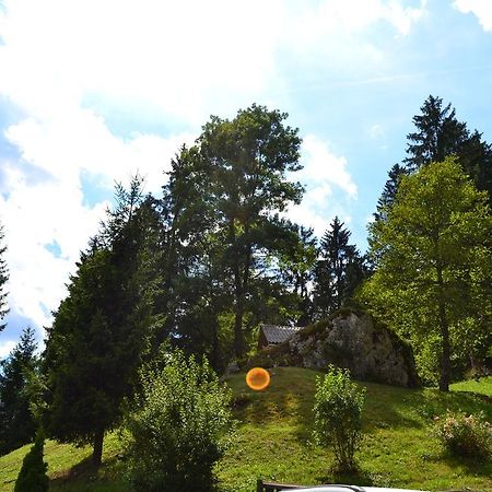 Rems Appartement Bohinj Buitenkant foto