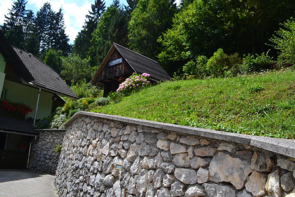 Rems Appartement Bohinj Buitenkant foto