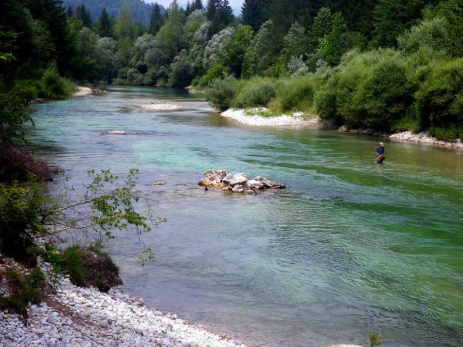 Rems Appartement Bohinj Buitenkant foto